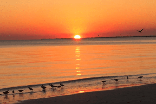 Crescent Beach Family Park