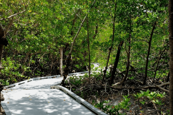 Matanzas Pass Preserve